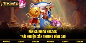 Bắn cá bingo